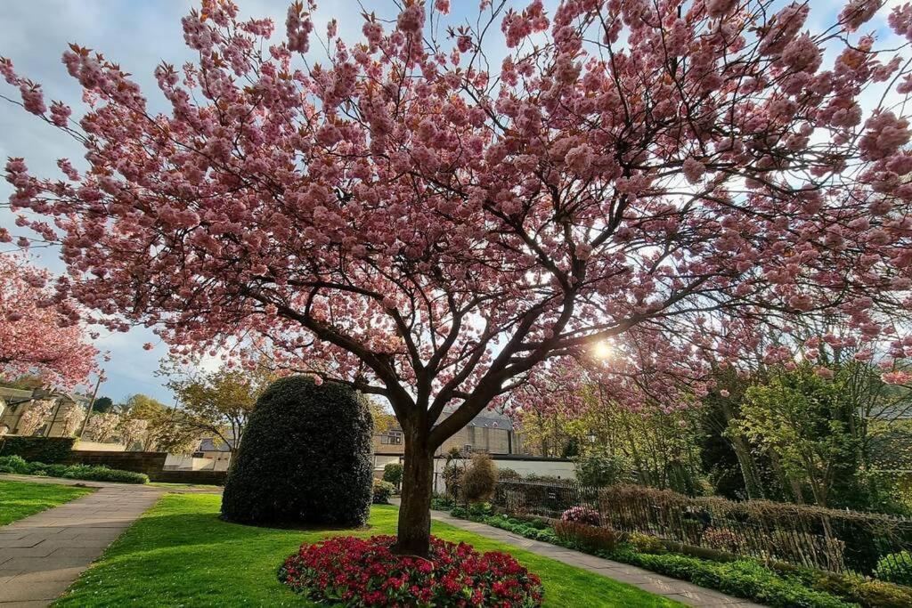 Crystal Cottage - 5 Min Walk From Holmfirth Town Centre 외부 사진